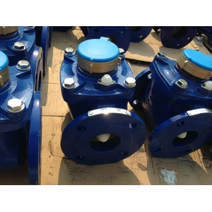 Water Meter Tatzu (Flangetype) 8" Inch