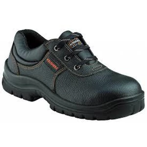 Laceup Shoes with Padded Topline