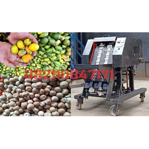 Betel nut peeler machine with a capacity of 50-60 kg/hour driving 1 HP