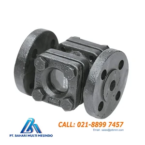 SIGHT GLASS SPIRAX SARCO FLANGE