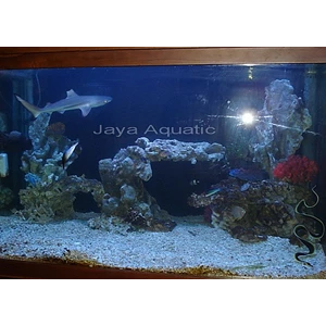 Aquarium Hiu  -   Akuarium & Aksesoris 