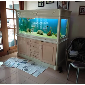 Aquarium Laut Meer Surabaya (Aquarium dan Aksesoris )