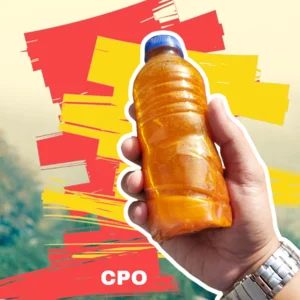 Crude Palm Oil (Minyak Kelapa Sawit Mentah)