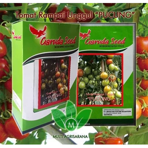 Tomato Seeds PUCUNG