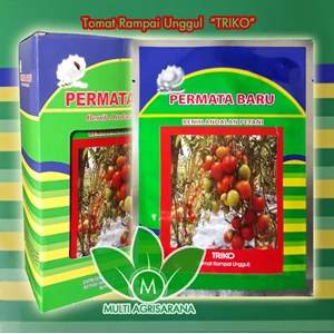 Tomato Seeds TRIKO 5 Gr