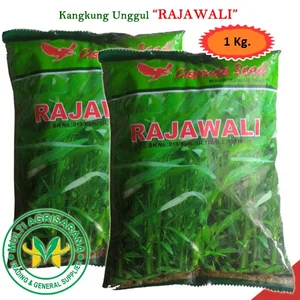 Benih kangkung RAJAWALI 1 kg