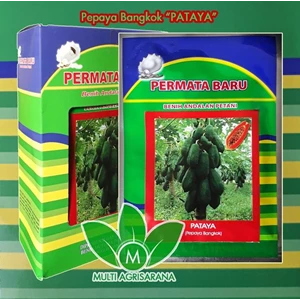Papaya Seeds Bangkok 