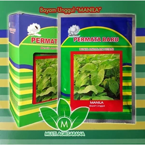 Spinach seeds MANILA