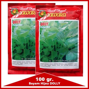 100 grams of spinach seeds DOLY 100 gr
