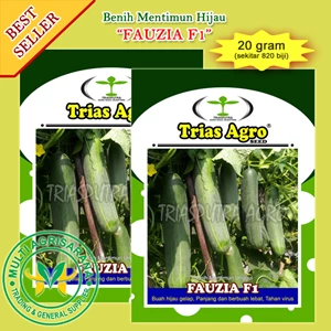 Cucumbar seed F1 FAUZIA 20 gr