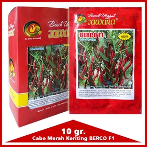 SEED curly chilli F1 BERCO 10 Gr