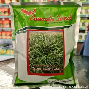 Watercress Seed MARYLAND 500 Gr