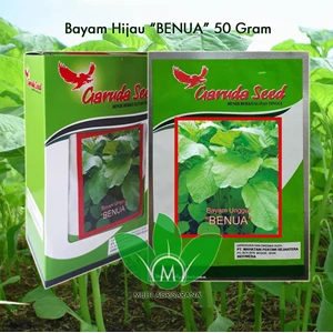 Spinach Seeds Superior BENUA 50 Gr