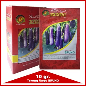 Purple Eggplant Seeds Bruno 10 Gr