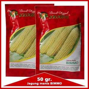Sweet Corn Seeds BIMMO 50 Gr