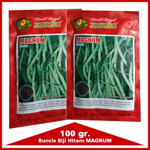 Beans Seed Varieties MAGNUM 100 Gr