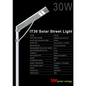 Lampu Jalan PJU All In One 30 watt
