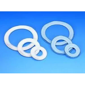 PTFE ENVELOPED GASKET