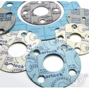 Gasket Garlock 3000 69 Bar