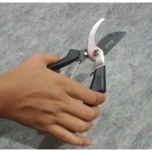 Gunting Pangkas Daun