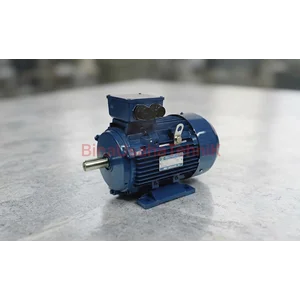 Dinamo Listrik Air Motor Yuema