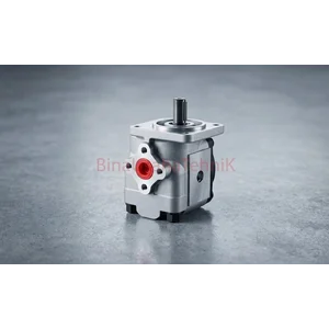HYDROMAX Gear Pump HGP-2A-F2R Gear Pump