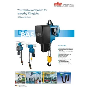 Hoists Crane Demag 2 Ton