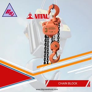 Manual Chain Block Vital Series