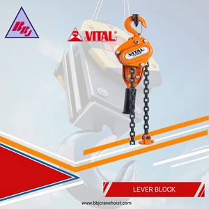 Manual Lever Block Vital Series