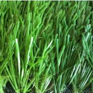 Rumput Sintetis Futsal Monofilament Dengan Density 10395/sqm + 3%