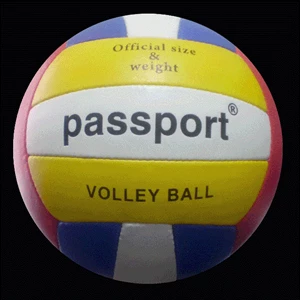 Volleyball Passport Type F