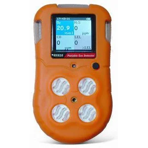 Detektor Gas Bx616 Multi Gas Detector