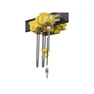 Chester Series Alh Air Chain Hoist