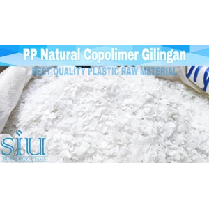Biji Plastik PP Natural Copolymer Gilingan Super