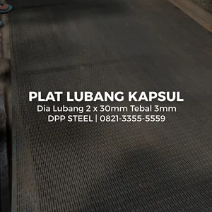 Plat Berlubang Motif Kapsul Tebal 3mm Lubang 2x30mm 4x8 Feet