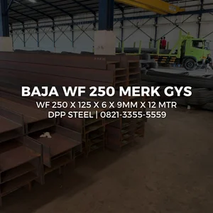 BESI WF 250 X 125 X 6 X 9MM X 12 METER GYS/GG