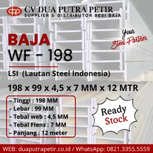 Besi WF 198 x 99 x 4.5 x 7 mm x 12 Meter LSI