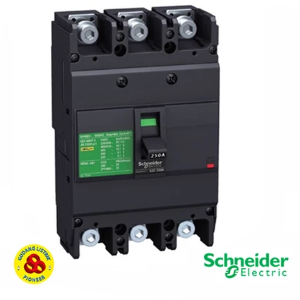 Dari MCCB / Mold Case Circuit Breaker Schneider 3P 125A  0