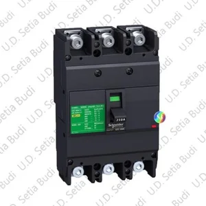 MCCB / Mold Case Circuit Breaker Schneider 3P 250 A 