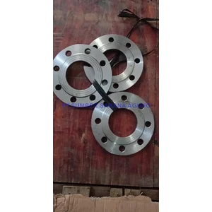 Flange Stainless  steel