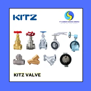 Valve Kitz ( japan )