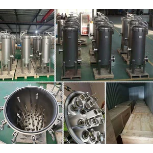 Multi Cartridge Filter Housing (Housing Filter)