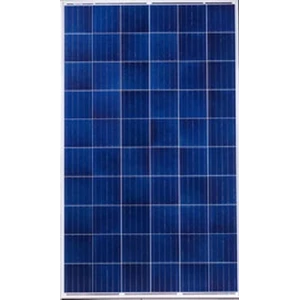 Solar PV Panel CSUN 255 Wp Polycrystalline