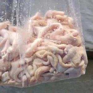 Daging Ayam Jeroan Ayam ( Usus )
