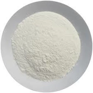 Garlic Natural Powder 