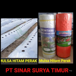 082333919978 Alat Tanam Plastik Mulsa Hitam Perak Surabaya - PT Sinar Surya Abadi Sejahtera
