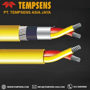 Thermocouple Compensating Cable Type R