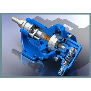 Eccentric Internal Pompa Gear
