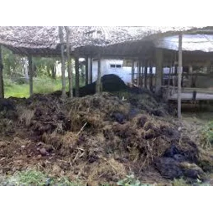  Pupuk Kandang Sapi 