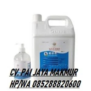 Antibacterial Hand Sanitizer OEM/ODM 75% Alcohol 100 ml